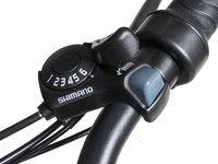 VÉLOS ÉLECTRIQUES DAYMAK PARIS LITHIUM 36V 2021-6