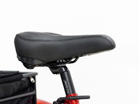 2023 VÉLOS ÉLECTRIQUES DAYMAK FLORENCE FAT BIKE-7
