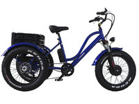 2023 VÉLOS ÉLECTRIQUES DAYMAK FLORENCE FAT BIKE-1