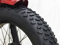 2023 VÉLOS ÉLECTRIQUES DAYMAK FLORENCE FAT BIKE-3