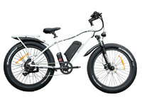 VÉLOS ÉLECTRIQUES DAYMAK WILD GOOSE 60V  12.5AH 2021-2