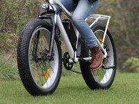 VÉLOS ÉLECTRIQUES DAYMAK WILD GOOSE 60V  12.5AH 2021-5