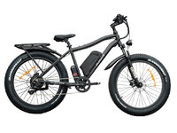 VÉLOS ÉLECTRIQUES DAYMAK WILD GOOSE 60V  12.5AH 2021-1