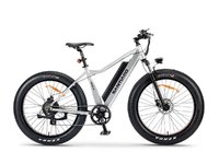 VÉLOS ÉLECTRIQUES SLANE SANTIAGO FAT BIKE 2021-0