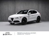 Alfa Romeo Stelvio TI SPORT ASSIST. DYNAMIC PLUS STATIC CONVENIENCE 2018-0