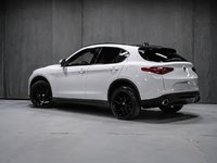 Alfa Romeo Stelvio TI SPORT ASSIST. DYNAMIC PLUS STATIC CONVENIENCE 2018-3