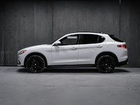 Alfa Romeo Stelvio TI SPORT ASSIST. DYNAMIC PLUS STATIC CONVENIENCE 2018-2