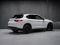 Alfa Romeo Stelvio TI SPORT ASSIST. DYNAMIC PLUS STATIC CONVENIENCE 2018-4