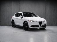 Alfa Romeo Stelvio TI SPORT ASSIST. DYNAMIC PLUS STATIC CONVENIENCE 2018-1