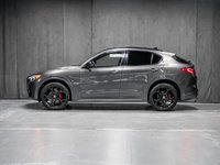 2023 Alfa Romeo Stelvio VELOCE-3