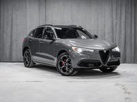 Alfa Romeo Stelvio VELOCE HARMAN KARDON SOUNS SYSTEM SPORT SEATS 2023-1