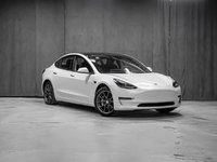 Tesla Model 3  2022-1