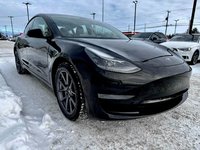 Tesla Model 3 Standard Range Plus 2021-5
