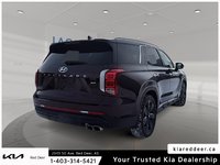 2023 Hyundai Palisade Urban-4