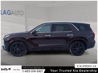 2023 Hyundai Palisade Urban-1