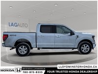 2024 Ford F-150 XLT-6