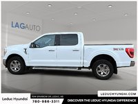 2023 Ford F-150 XLT-4