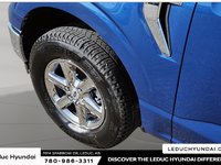 2025 Ford F-150 XLT-5