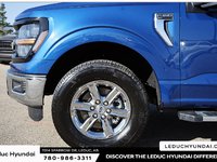 2025 Ford F-150 XLT-6