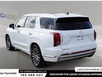 2023 Hyundai Palisade Ultimate Calligraphy-3