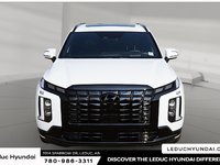 2025 Hyundai Palisade Ultimate-1