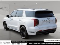 2025 Hyundai Palisade Ultimate-3