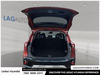 2024 Kia Seltos EX-5