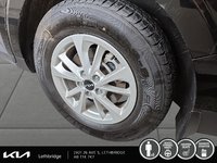 2024 Kia Carnival LX-7