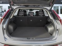 2025 Kia Niro EV Wave-6