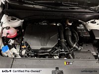 2025 Kia Sorento X-Line-6