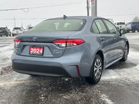 Toyota Corolla Hybrid LE 2024-2