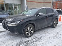 2019 Lexus NX 300h-0