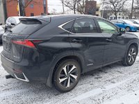 2019 Lexus NX 300h-3