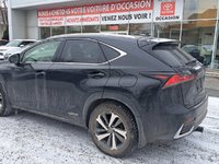 2019 Lexus NX 300h-4