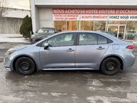 Toyota Corolla LE 2023-2