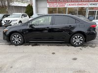 Toyota Corolla Hybrid LE 2024-2