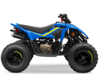 CFMOTO CFORCE 110  2023-1