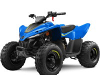 CFMOTO CFORCE 110  2023-0
