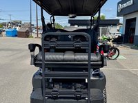 2025 VOITURETTE DE GOLF MODÈLE: ADVENTURE 22 PLUS 100% ÉLECTRIQUE.  BATTERIE AU LITHIUM !!!-2