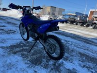 Yamaha TT-R125  2023-4