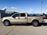 2010 Ford F-150-4