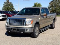 2010 Ford F-150-3
