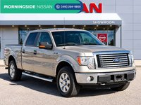 2010 Ford F-150-0