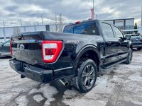 2022 Ford F-150 Lariat-6