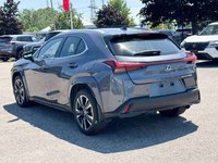 2025 Lexus UX 300h-4