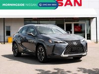 2025 Lexus UX 300h-0