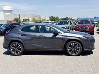 2025 Lexus UX 300h-7