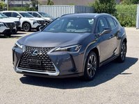 2025 Lexus UX 300h-2