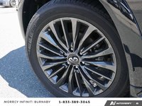 2024 Infiniti QX80 PROACTIVE // 7 PASSENGER-6