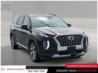 2020 Hyundai Palisade Luxury-2